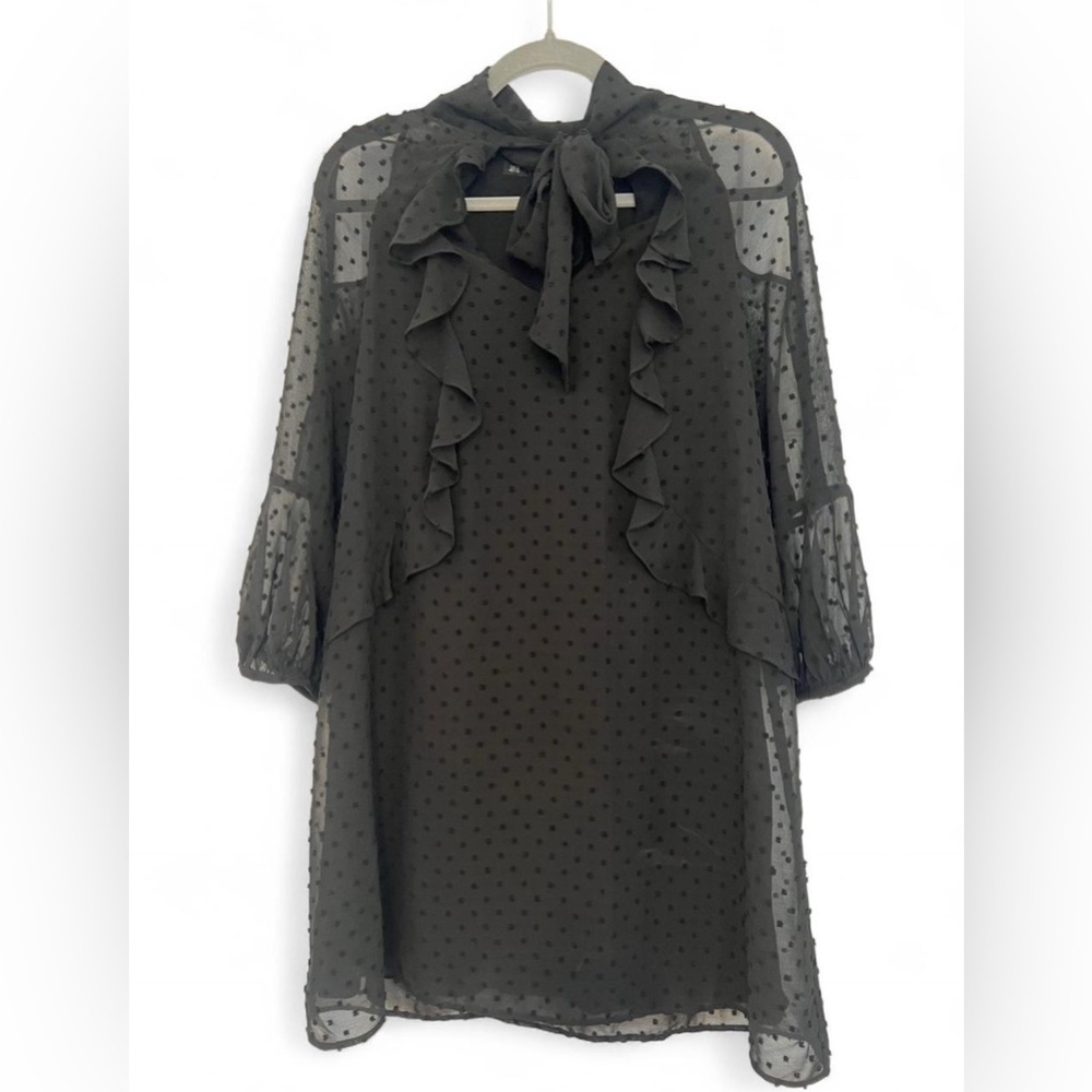 Zara Black Sheer Ruffle Dress